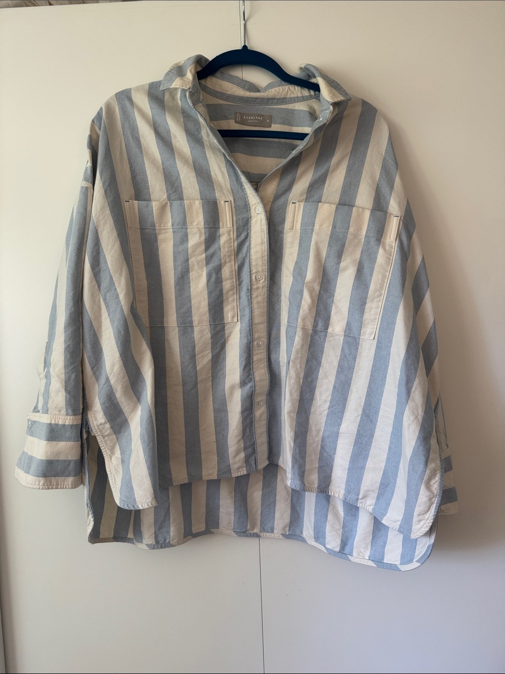 Everlane Blue and White Striped Button-Up Shirt